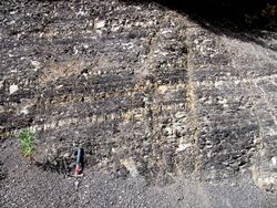 Fernie Formation shale.jpg