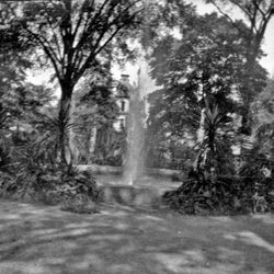 Fountain and Foliage.jpg