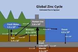 Global Zinc Cycle.jpg