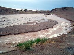 muddy stream in Gobi desert with grass in foreground and desert in background