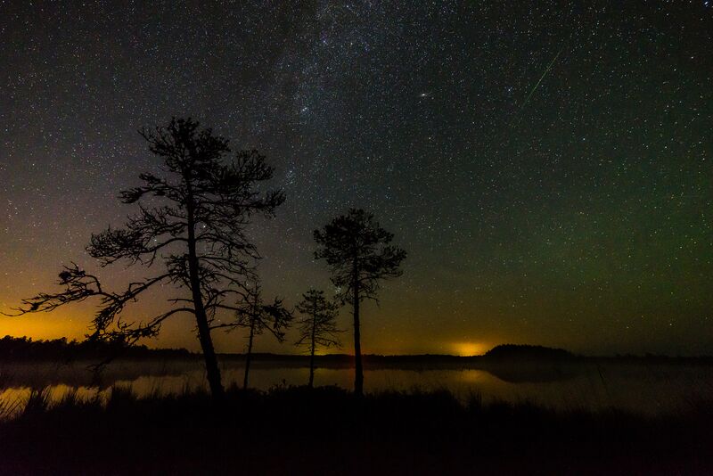 File:In the photo there is one Perseid, Milky Way and Andromega galaxy and light pollution on the horizon - Luhasoo bog in Estonia.jpg