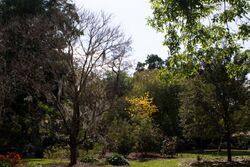 Leubotanicalgardens.jpg