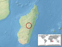 Lygodactylus mirabilis distribution.png