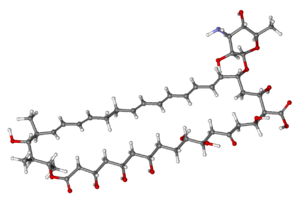 Nystatin ball-and-stick.png