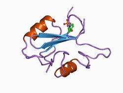 PDB 1bmb EBI.jpg