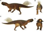 Psittacosaurus model.jpg