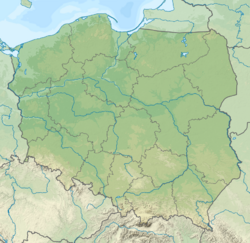 Borucice Formation is located in Poland