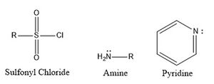 General structures of the reactants required to synthesize a sulfonamide