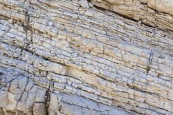 Tuffaceous lithic sandstone - Flickr - aspidoscelis (2).jpg