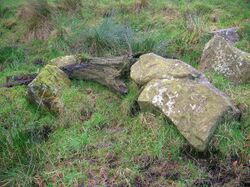 Bog oak and boulders at Stumpy Knowe.JPG