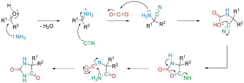 File:Bucherer–Bergs mechanism.png