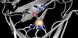 CDO active site.png