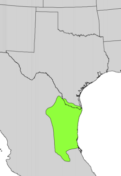 Cordia boissieri range map.png