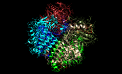 Enzyme hexamer.png