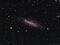 NGC4236 JeffJohnson.jpg