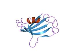 PDB 1fks EBI.jpg