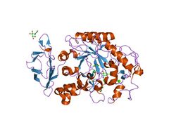 PDB 1xcw EBI.jpg