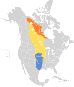 Zonotrichia querula map.svg