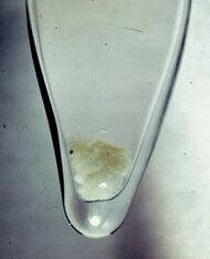 Glass vial of brownish-white snow-like precipitation of plutonium hydroxide