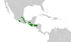Aphelocoma unicolor map.svg