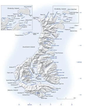 Auckland Island Map.webp