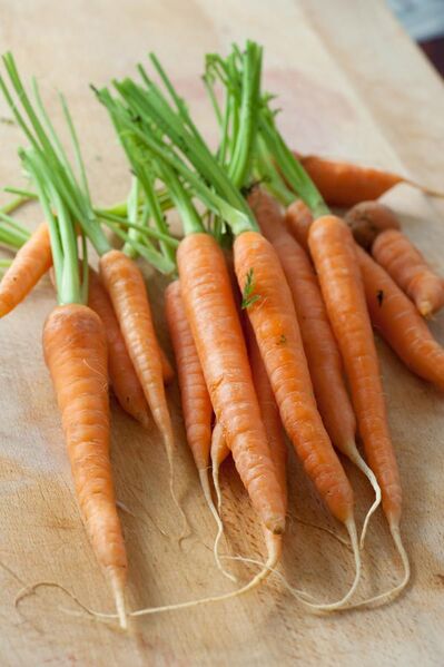 File:Baby carrots - jules.jpg