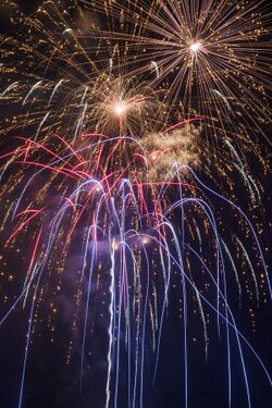 Canada Day 2016 Fireworks (27929885402).jpg
