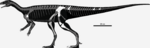 Chromogisaurus skeleton.png