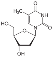 Skeletal formula of thymidine
