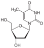 Chemical structure of thymidine