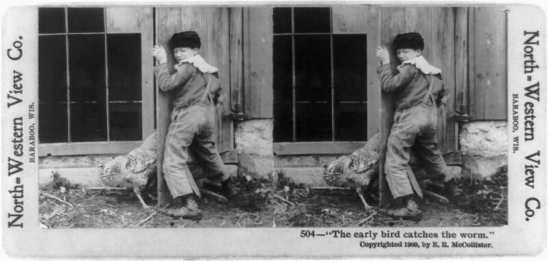 File:Early bird stereograph2.jpg