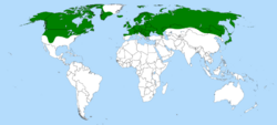 Eriophorum angustifolium distribution.svg