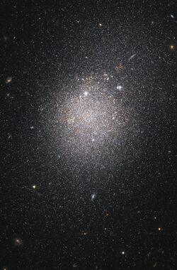 NGC 4163 Hubble.jpg