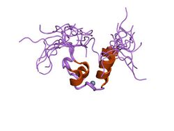 PDB 1lpv EBI.jpg