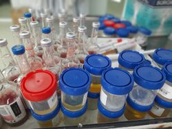 A variety of microbiological samples in a laboratory