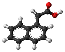 1-Naphthaleneacetic acid molecule