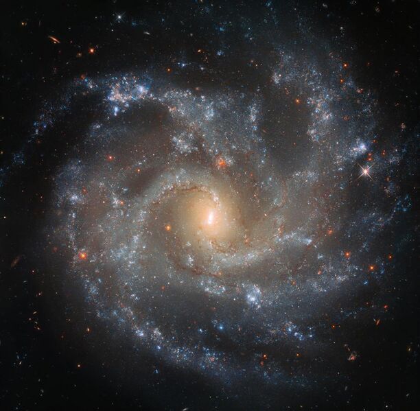 File:A Dramatic Demise NGC 5468.jpg