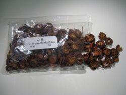 Dried Crataegus scabrifolia fruits.jpg