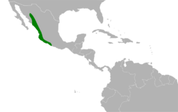 Euphonia godmani map.svg