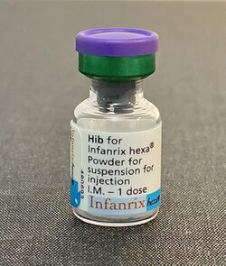 Hib for infanrix hexa.jpg