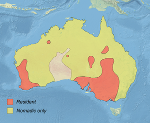 Malacorhynchus membranaceus distribution map.png