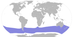 Pterodroma lessonii map.svg