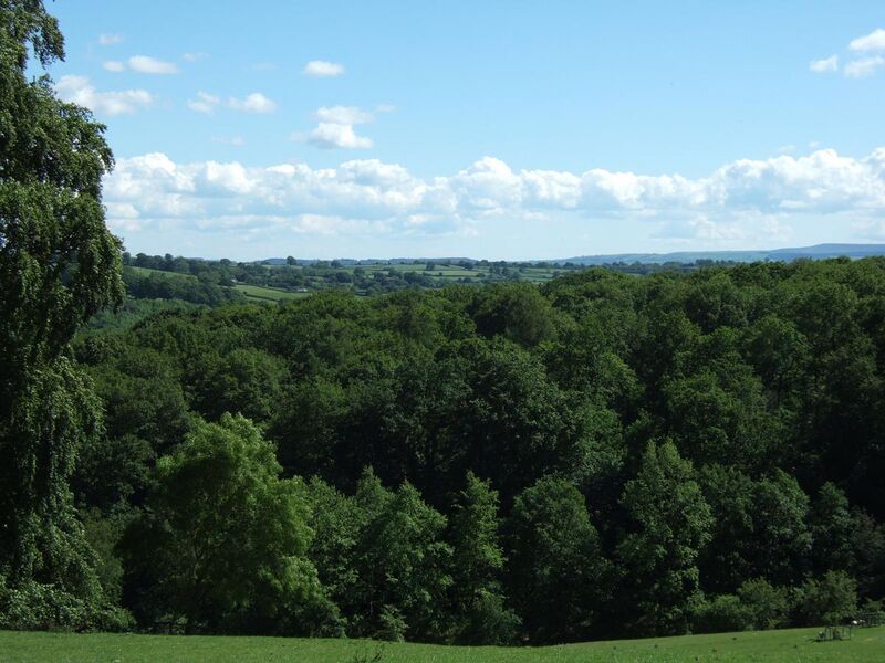 File:Woodland and trees in Herefordshire landscape.JPG