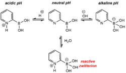 2-pyridyl speciation.png