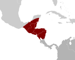 Aphonopelma seemanni Distribution.svg