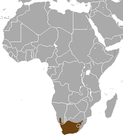 Cape Gray Mongoose area.png