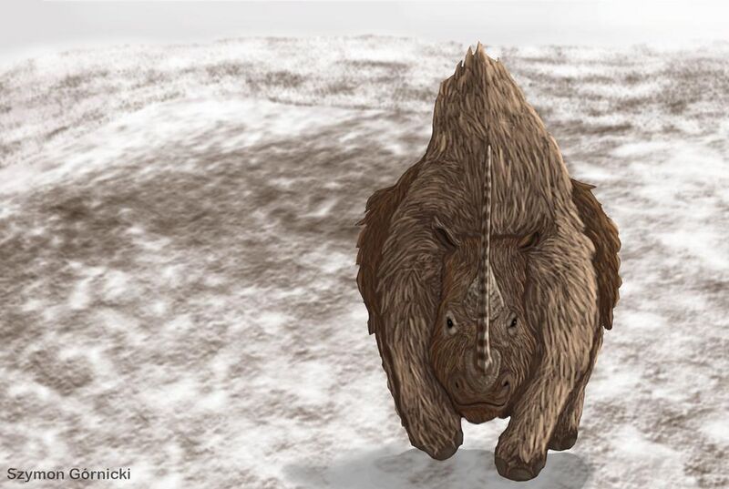File:Charging woolly rhinoceros by Szymon Górnicki.jpg