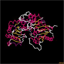 Flavonol 3-O-glucosyltransferase.jpg