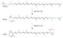 Lycopene ε-cyclase2.svg