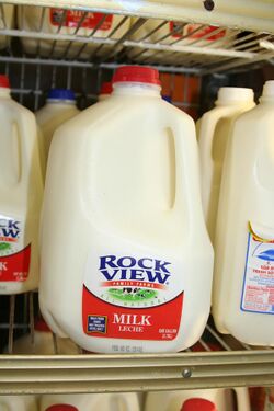 Milk jug upright.jpg